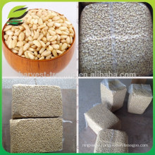 Wholesale Pine Nuts Kernel for sale /Hot Sale Nut from China